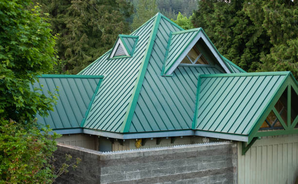 Best Metal Roofing Installation  in Portage, MI